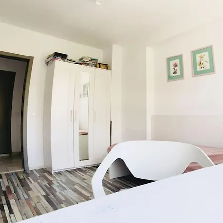 Beautiful Spacious 公寓 索佐波尔