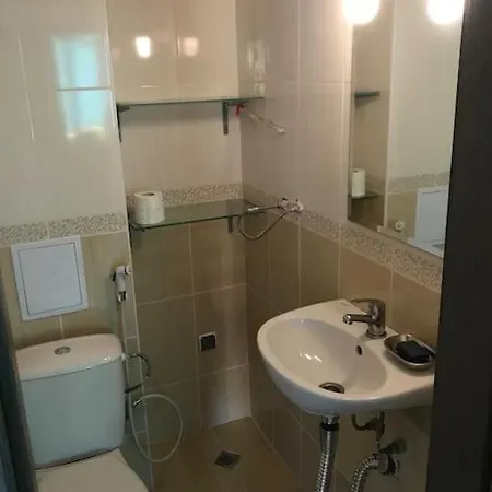Beautiful Spacious 公寓 索佐波尔